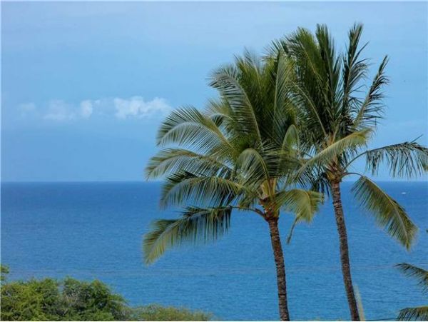 Wailea Condo 972452