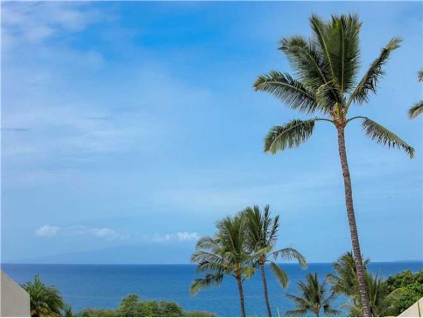 Wailea Condo 972452