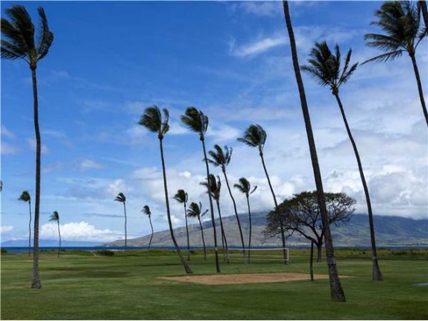 Kihei Condo 972458