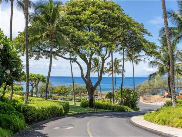 Wailea Condo 972459