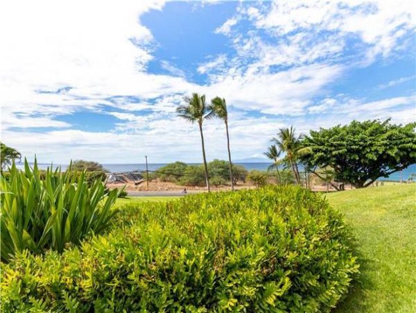 Wailea Condo 972459
