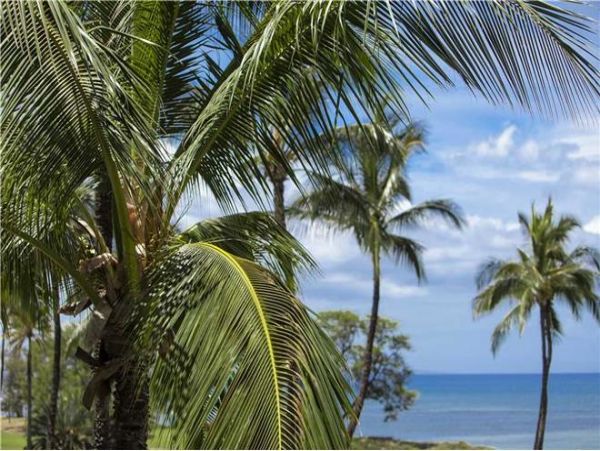 Kihei Condo 972461