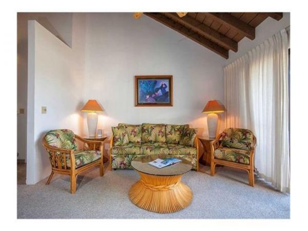 Wailea Condo 972463