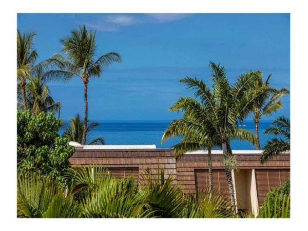 Wailea Condo 972463