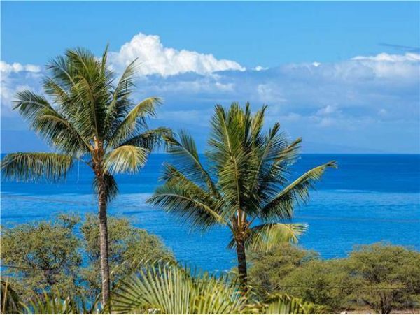 Wailea Condo 972467