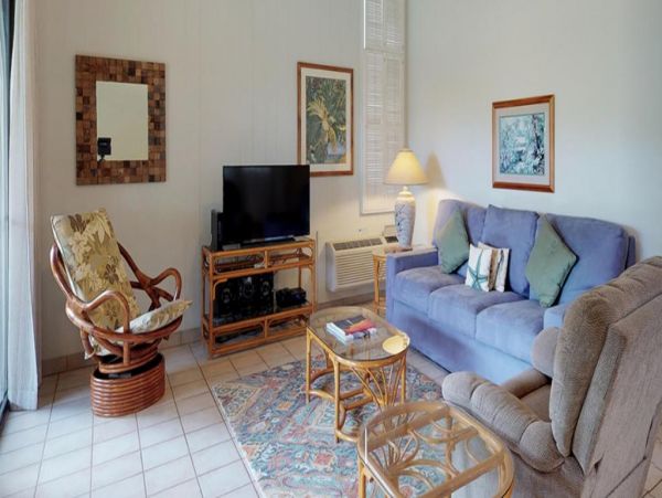 Wailea Condo 972488