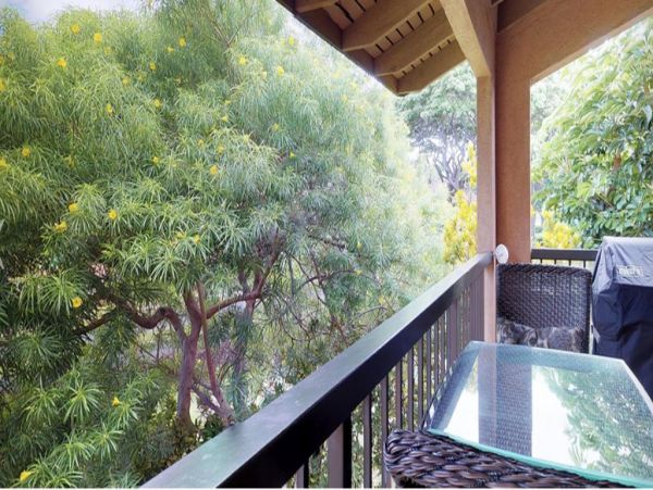 Wailea Condo 972488