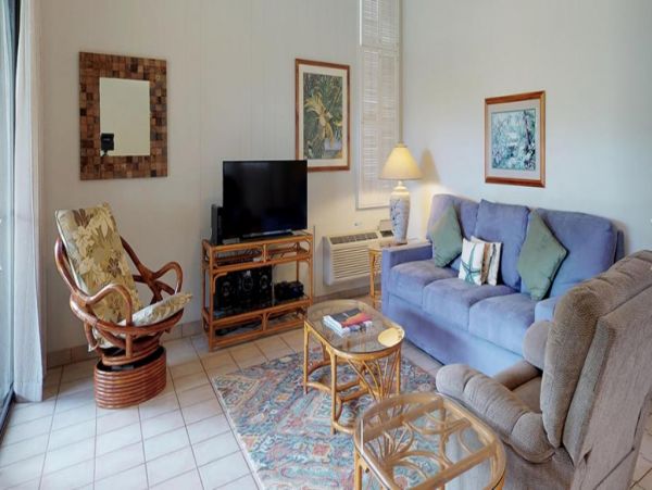 Wailea Condo 972488