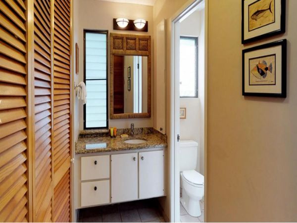 Wailea Condo 972490