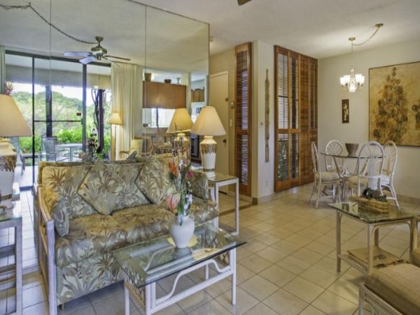 Wailea Condo 972493