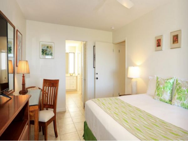 Wailea Condo 972496