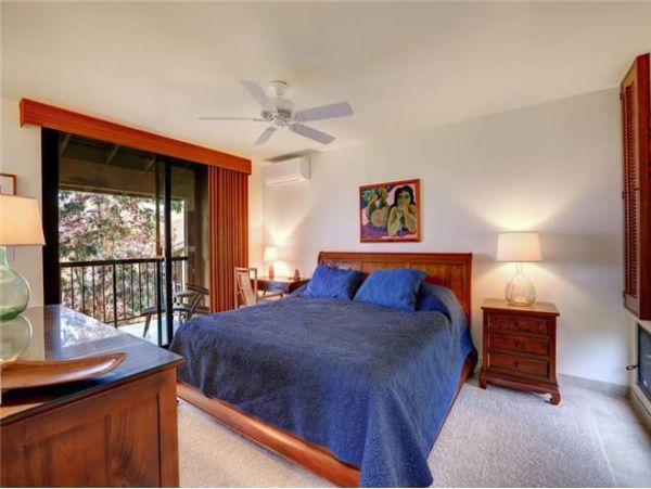 Wailea Condo 972499