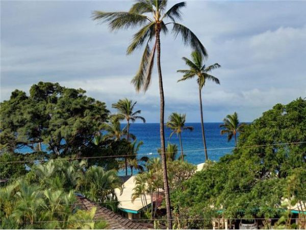 Wailea Condo 972499