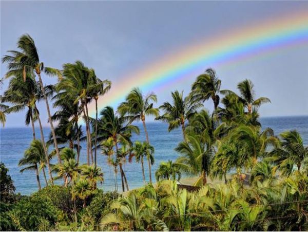 Wailea Condo 972499