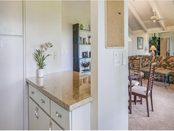 Wailea Condo 972511