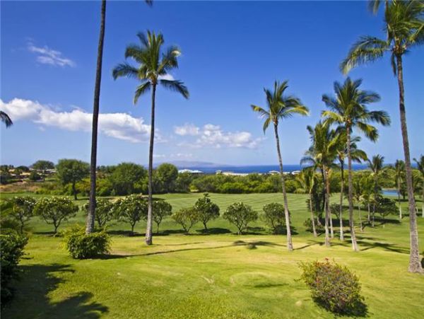 Wailea Condo 972514