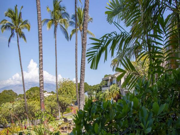 Wailea Condo 972517
