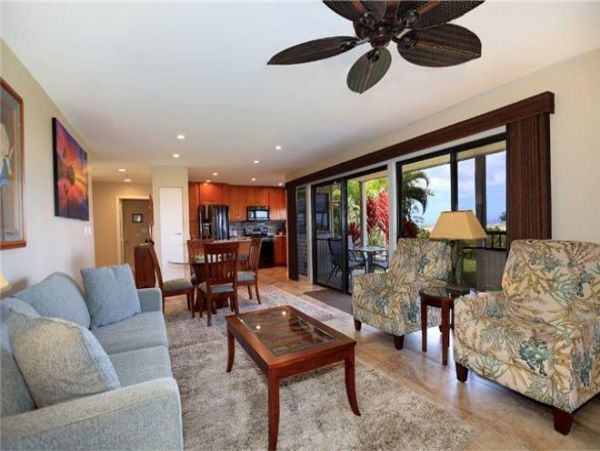 Wailea Condo 972520