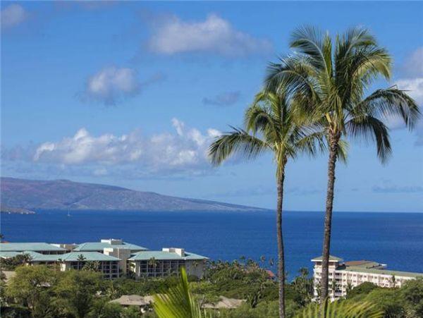 Wailea Condo 972523