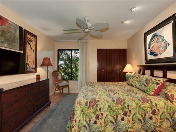Wailea Condo 972526