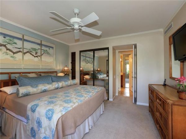 Wailea Condo 972532