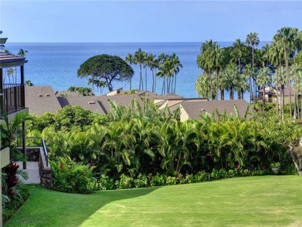 Wailea Condo 972541