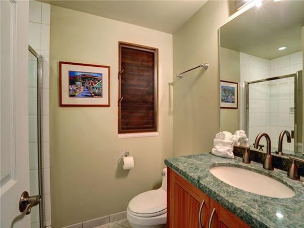 Wailea Condo 972544