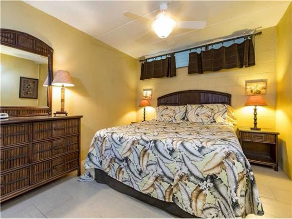 Wailea Condo 972545