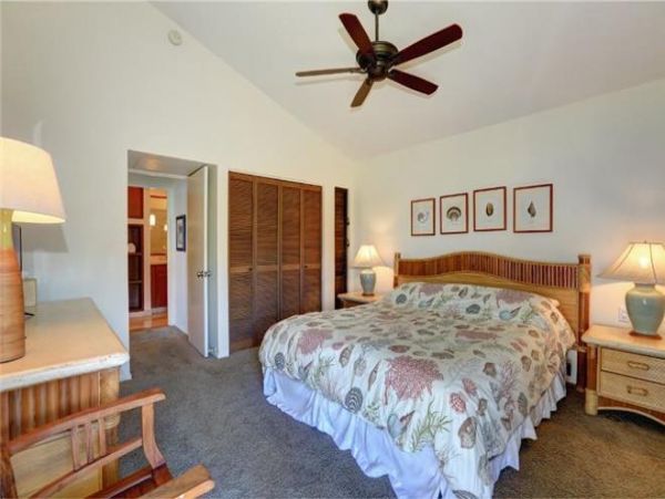 Wailea Condo 972546