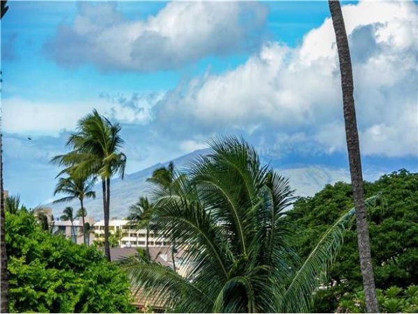 Wailea Condo 972549