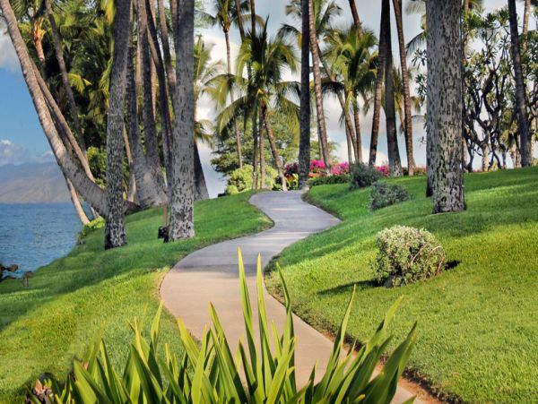 The Ultimate Maui Destination