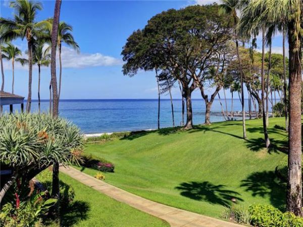 Wailea Condo 972556