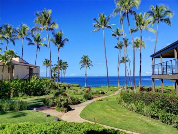 Wailea Condo 972562
