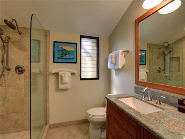 Wailea Condo 972569