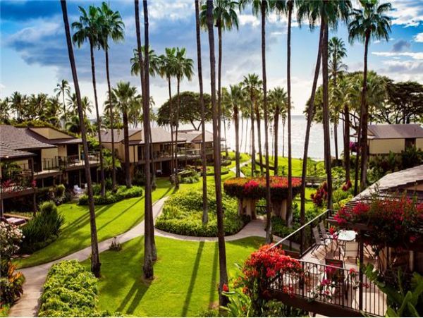 Wailea Condo 972572