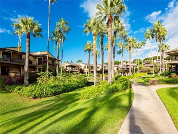 Wailea Condo 972572