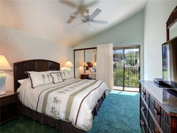 Wailea Condo 972575