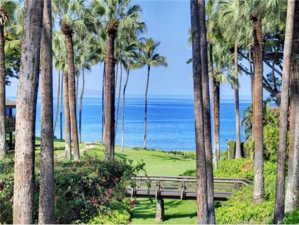 Wailea Condo 972578