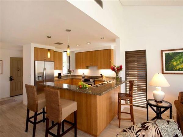 Wailea Condo 972580