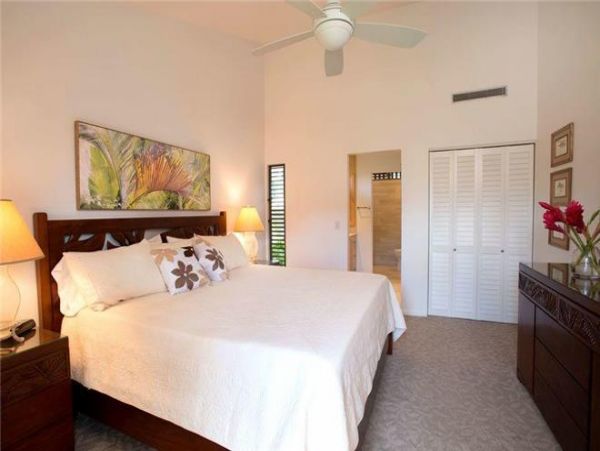 Wailea Condo 972580