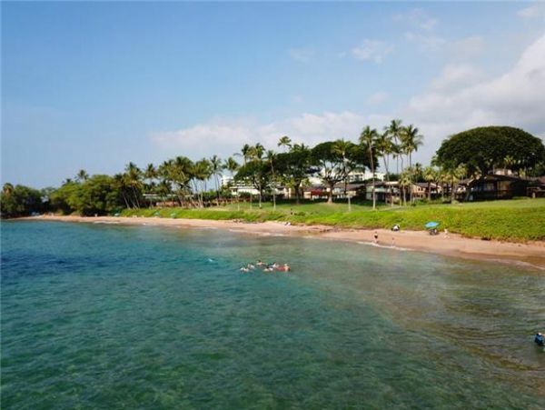 Wailea Condo 972580