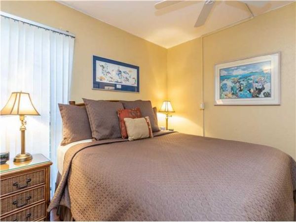 Wailea Condo 972582