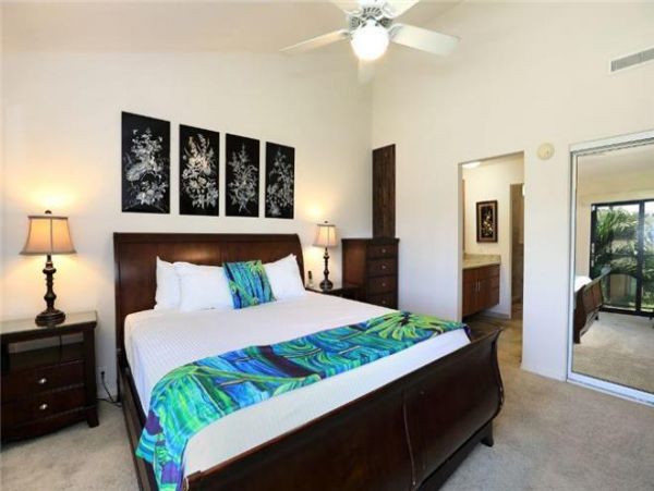 Wailea Condo 972584