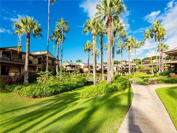 Wailea Condo 972587