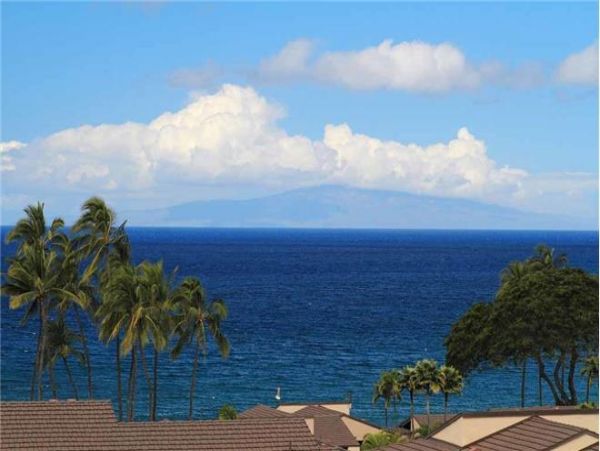 Wailea Condo 972587