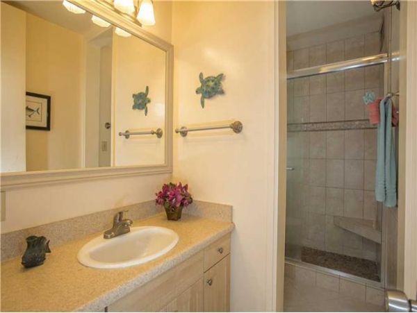 Wailea Condo 972599