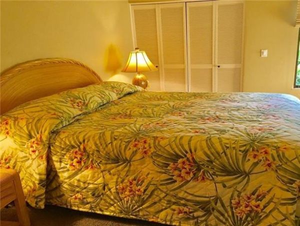 Wailea Condo 972604