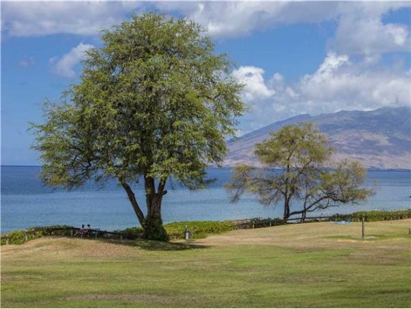 Wailea Condo 972605