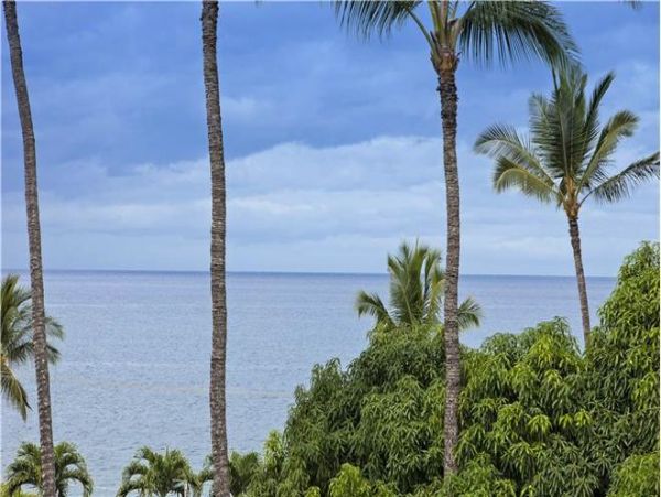 Wailea Condo 972606