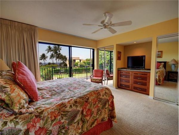 Wailea Condo 972612